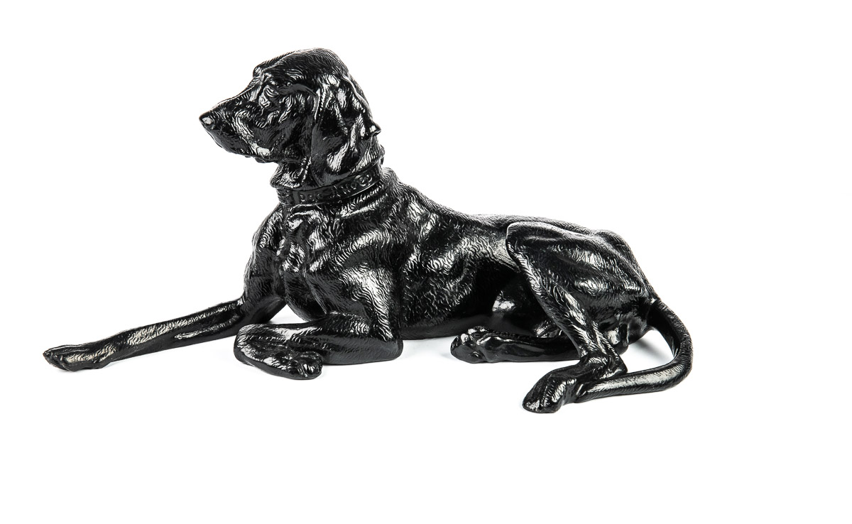 Собака пойнтер лежащая