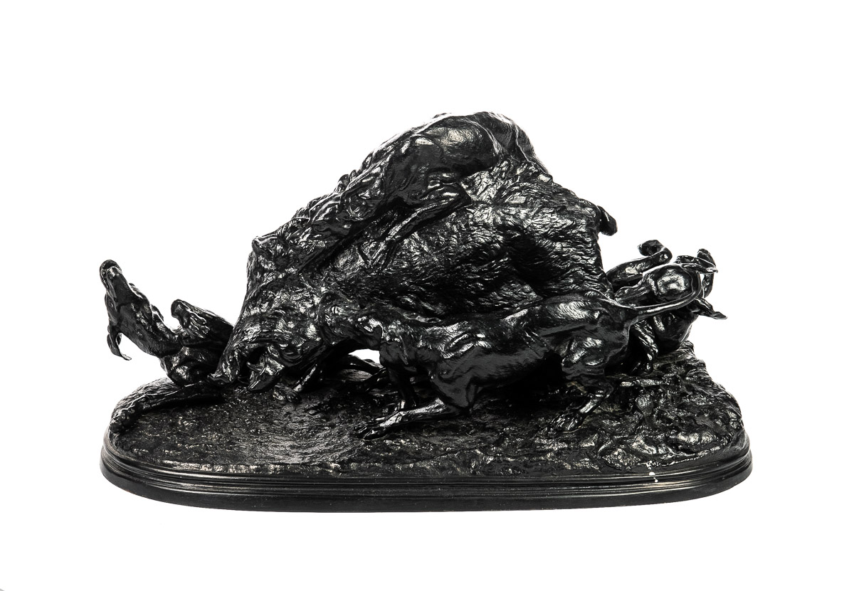 Кабан, затравленный собаками