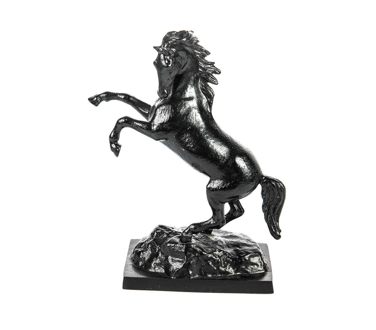 Играющий конь