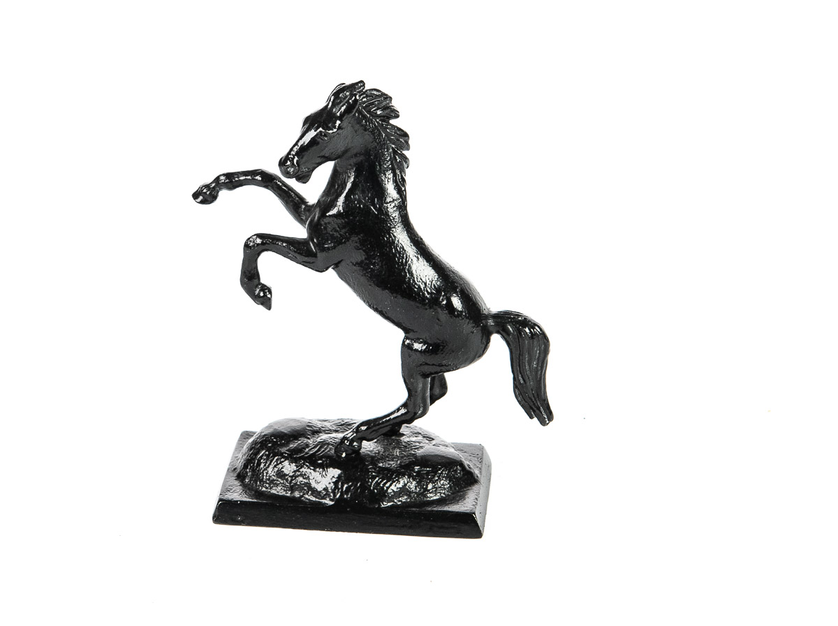 Играющий конь